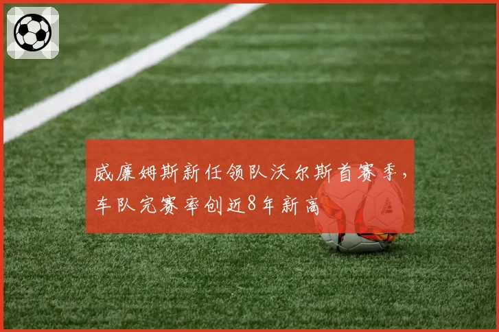 威廉姆斯新任领队沃尔斯首赛季，车队完赛率创近8年新高