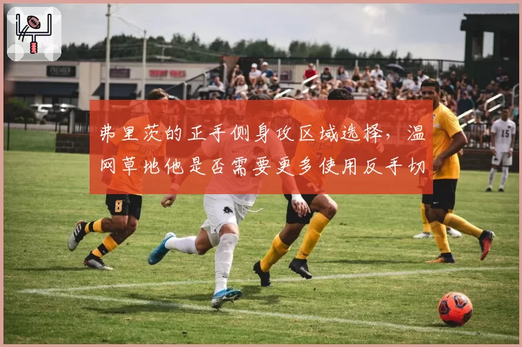 弗里茨的正手侧身攻区域选择,温网草地他是否需要更多使用反手切削过渡