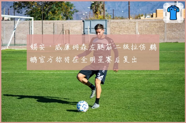 锡安·威廉姆森左腿筋二级拉伤 鹈鹕官方称将在全明星赛后复出