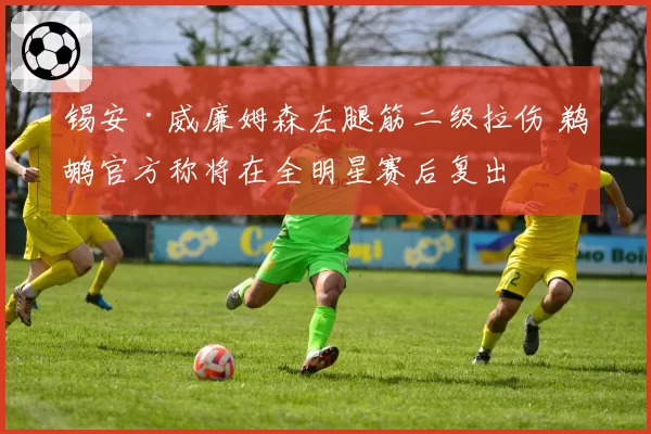 锡安·威廉姆森左腿筋二级拉伤 鹈鹕官方称将在全明星赛后复出